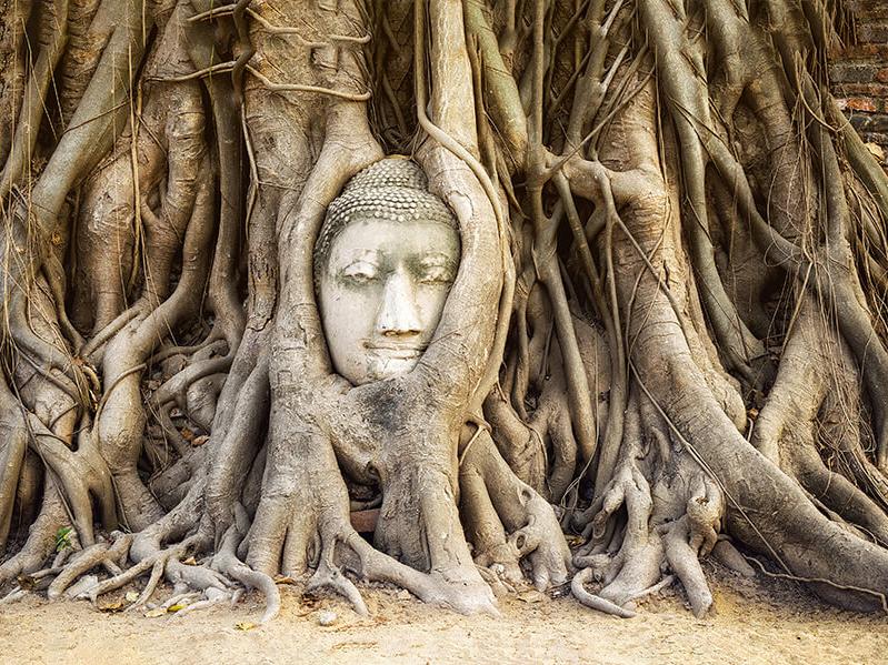 Ein Besuch der Unesco Welterbestätte Angkor darf nicht fehlen auf einer Kambodscha Rundreise